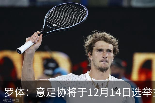 罗体：意足协将于12月14日选举主席和理事会